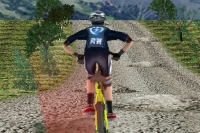 3D Mountain Bike 3D Mountain Bike