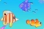 Aquarium einrichten Aquarium einrichten