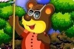 Bär verkleiden Bär verkleiden