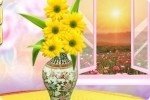 Blumen im Wohnzimmer Blumen im Wohnzimmer