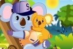 Coole Koala Coole Koala