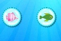 Fische suchen Fische suchen