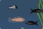 Fischleben Fischleben