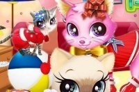 Kitten Verzorgsalon Kitten Verzorgsalon