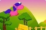 Pony Rennen Pony Rennen