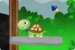 Schildkröten Abenteuer Schildkröten Abenteuer
