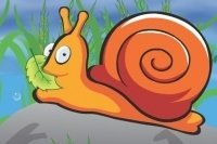 Schnecke hat Hunger Schnecke hat Hunger