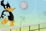 Daffy Volleyball