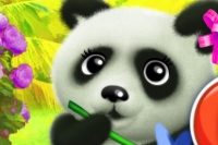Fröhlicher Panda