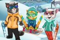 Katzen im Skiurlaub